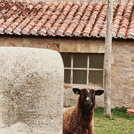 Daire Cozy In Reinosa